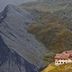 Discover the Tranquil Charm of Traditional Japanese Ryokans